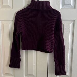 Altar'd State Rich Plum Crop Turtleneck Sweater